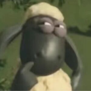 Meet your Posher, Elissa